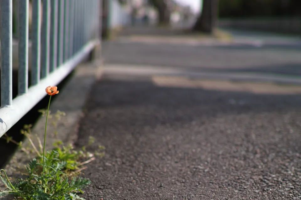Asphalt